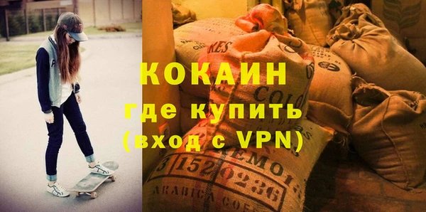 твердый Козловка