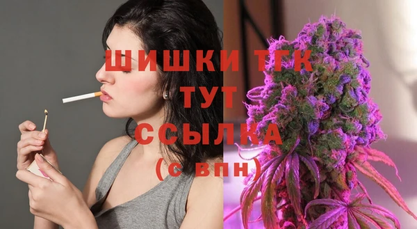 твердый Козловка