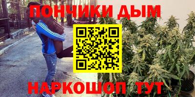 соль ск Бийск