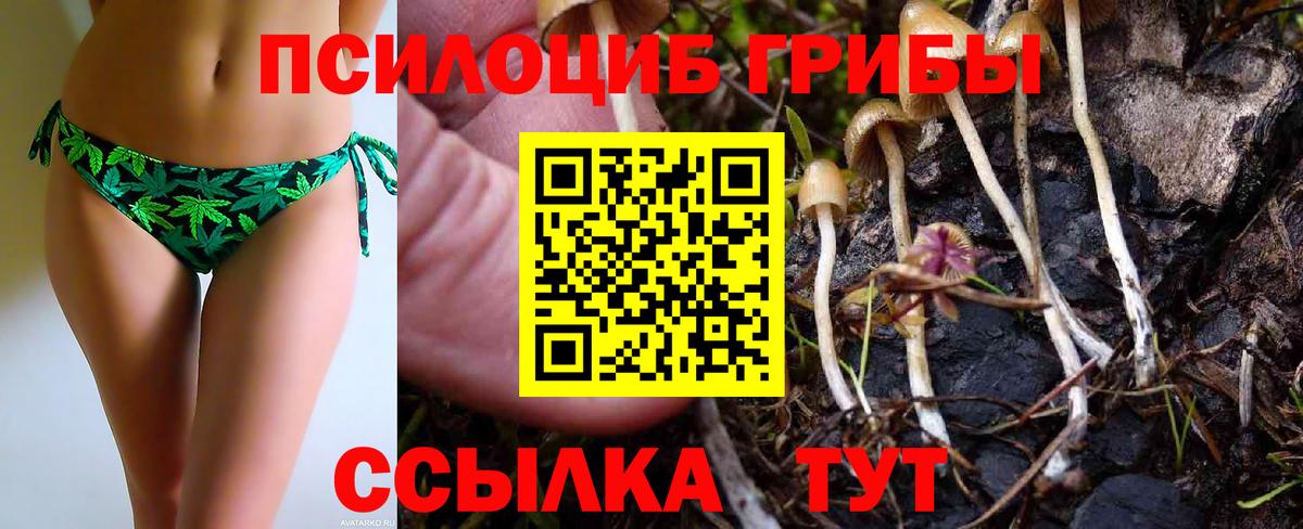 Псилоцибиновые грибы Psilocybine cubensis Калуга