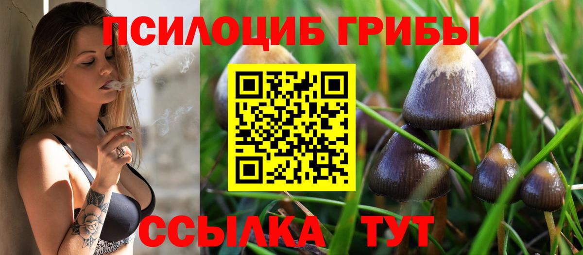Калуга  Псилоцибиновые грибы Psilocybine cubensis  Вход с VPN 